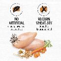 Natural Dry Dog Food, Farm-Raised Chicken & Whole Barley