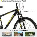 Mountain Bike, Mens Womens