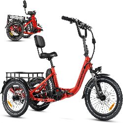 ADDMOTOR CITYTRI E-310 Plus Electric Trike for Adults, 750W Rear Motor