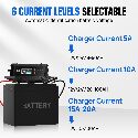 ECO-WORTHY 12V/24V 20A LifePO4 Lithium Battery Charger