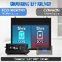 ECO-WORTHY 12V/24V 20A LifePO4 Lithium Battery Charger