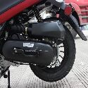Venom Roma 50cc Moped