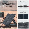 EcoFlow DELTA 2 Max Solar Generator PV220W